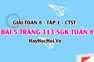 Giải bài 5 trang 113 Toán 8 Tập 1 SGK Chân trời sáng tạo
